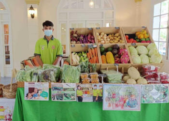 Japanese Organic Farm, The Fresh at Central Mansions